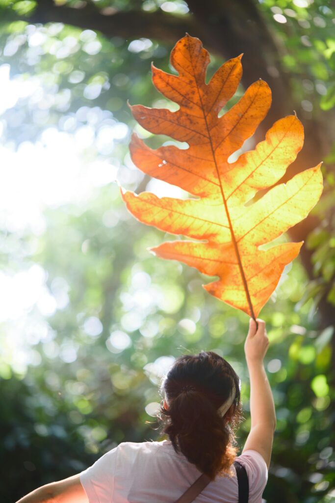 Nature tour in Singapore
